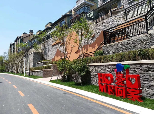 惠斯勒項(xiàng)目